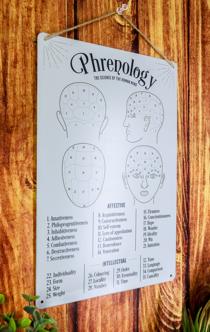 Gothic Wicca Phrenology Alternative Science Of Human Mind Metal Wall Sign Decor