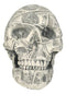 Fortune Lottery Benjamin Franklins Bank C-Note Money Bill Prints Skull Figurine