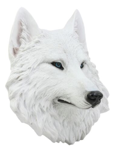 Ghost Albino Arctic White Wolf Head Wall Decor Plaque 8.5"H Direwolf Figurine - Ebros Gift