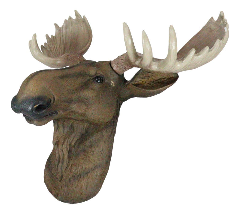 North American Granddaddy Bull Moose with Antlers Trophy Head Wall Decor 15"L