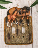 Set Of 2 Novelty Western Country Equine Horses Double Toggle Switch Plates