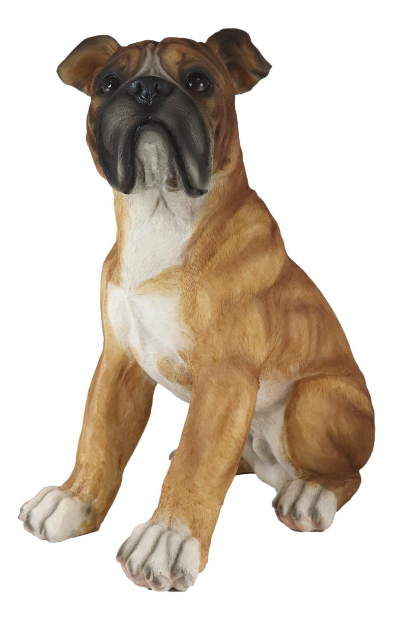 Large 16"H Adorable Realistic Sitting Fawn Boxer Muscle Dog Decorative Statue
