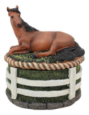 Ebros Brown Stallion Horse At Rest Round Jewelry Trinket Decorative Box 5.25"H
