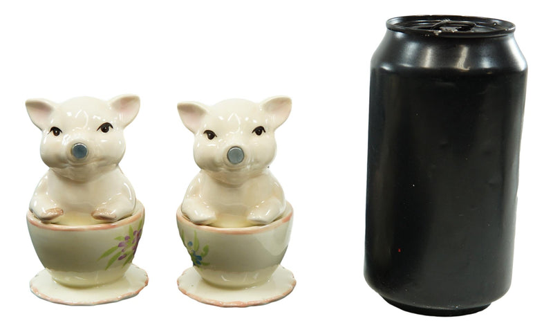 Ebros  Couple Kissing Teacup Miniature Pigs Hog Heavens Ceramic Salt Pepper Shaker Set