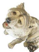 Tribal Pack Alpha Leader Akela Howling Gray Wolf Statue 14"H Spirit Wolves