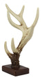 Ebros Rustic Buck Deer Antler Jewelry Accessories Holder Hook Stand 10.25"H