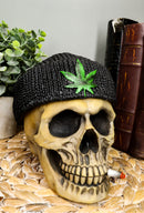 Ebros Smoking Human Skull with Leaf Beanie Hat Ashtray Jewelry Box 6.5" Long