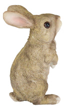 Whimsical Curious Mother Bunny Rabbit Standing Pet Pal Fairy Garden Figurine