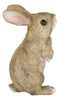 Whimsical Curious Mother Bunny Rabbit Standing Pet Pal Fairy Garden Figurine