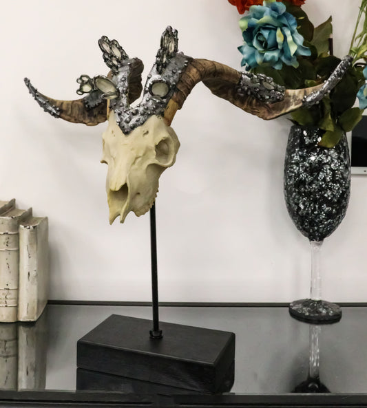 Ornate Crystal Gems Valais Blackneck Billy Goat Skull Desktop Or Wall Plaque