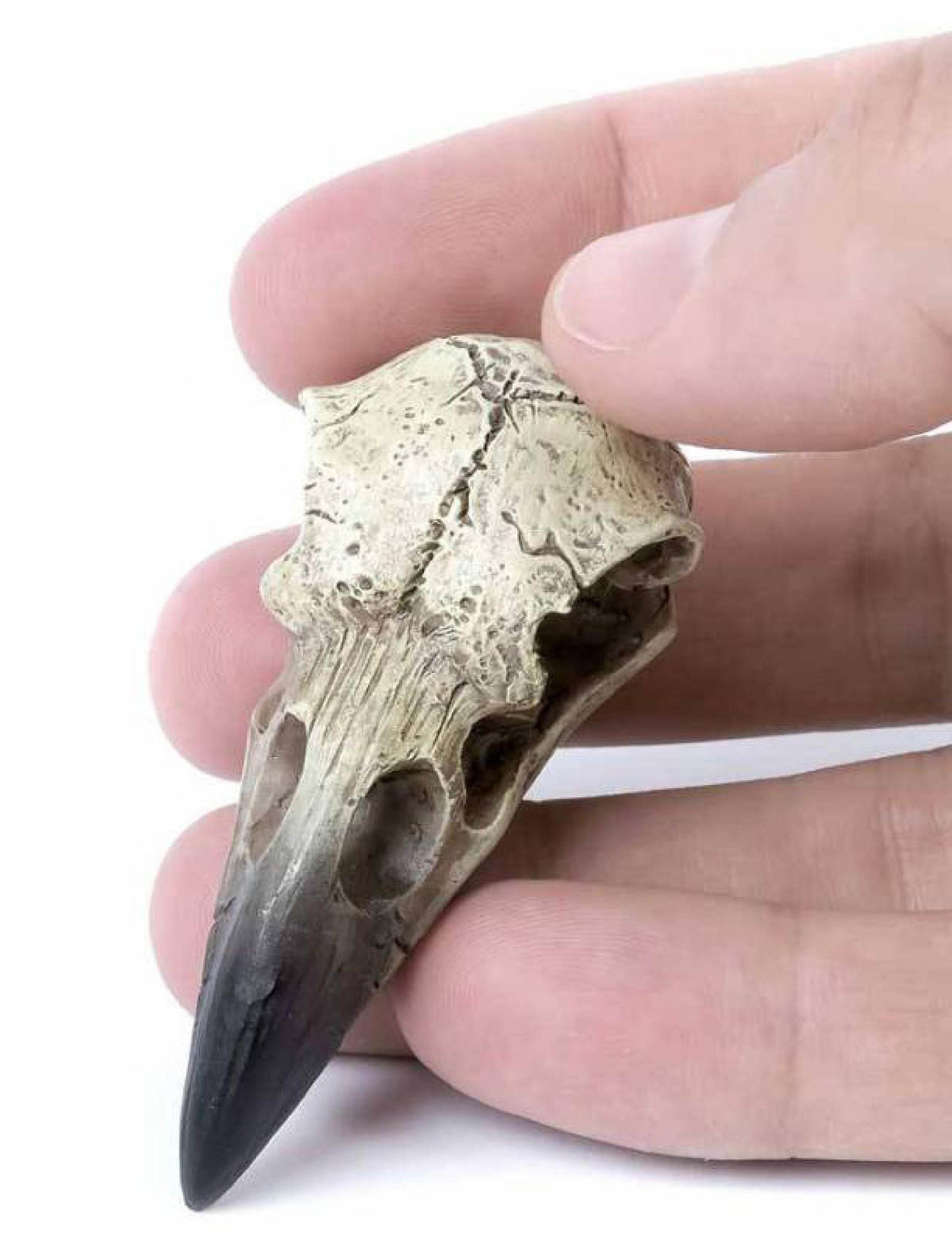 Pack Of 3 Gothic Reliquary Raven Crow Skull Small Pendant Talisman Figurines