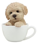 Ebros Realistic Brown Poodle Puppy Teacup Statue Pet Pal Dog Figurine With Glass Eyes