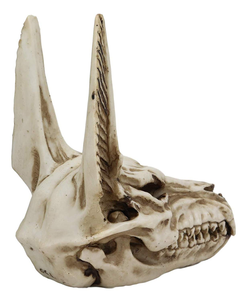 Ebros Ancient Egyptian Deity God Anubis Jackal Skull Statue Decor 6.75"H