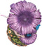 Ebros Daydreaming Girl Fairy Under Giant Trumpet Flowers With Blue Birds Statue