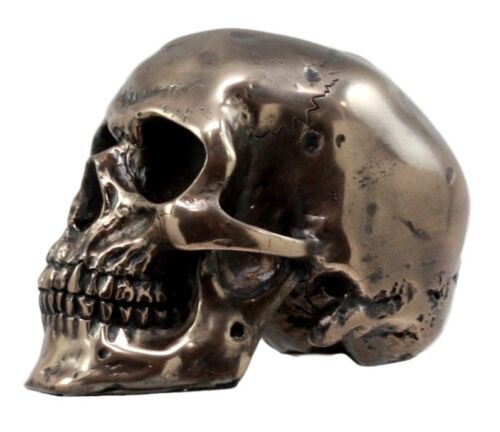 Ebros Bronzed Homosapien Skull Figurine 4.5"L Miniature Halloween Collectible - Ebros Gift
