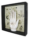 All Seeing Eye Fortune Teller Chirology Palmistry Hand Palm Wall Decor W/ Frame