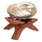 Marine Natural Abalone Shell On Accent Wood Tripod Stand Jewelry Incense Holder