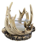 Rustic Western Buck Elk Deer Stag Entwined Antlers Crown Votive Candle Holder