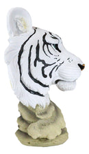 15"H Large Blue Eyed Siberian Bengal White Tiger Bust Desktop Plaque Figurine