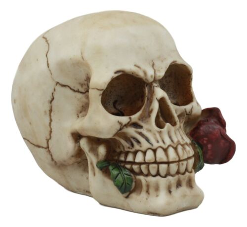 Romantic Goth Skull Biting A Stalk Of Red Rose Statue Lover Never Dies Eternal