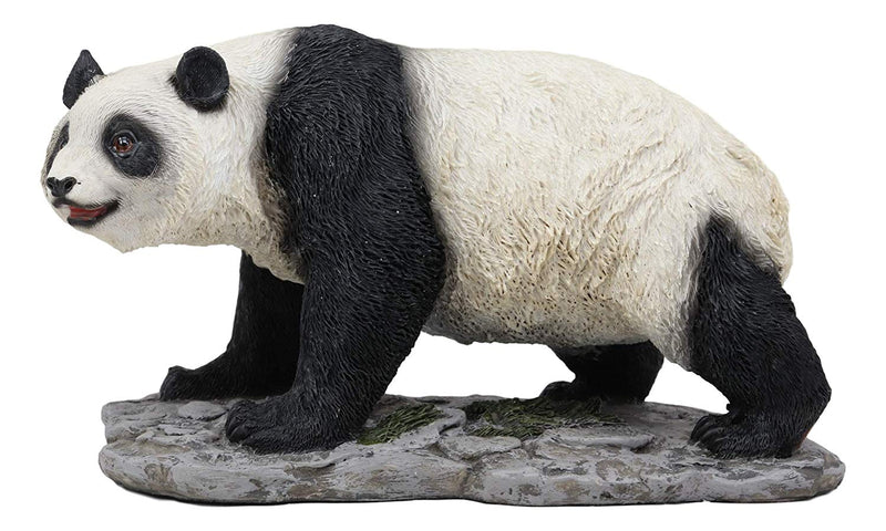 Ebros Realistic Lifelike Adorable China Asian Giant Panda Bear Decor Statue 10"Long