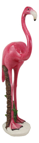 Tropical Rainforest Paradise Standing Pink Flamingo Bird Decor Statue 11.75"H
