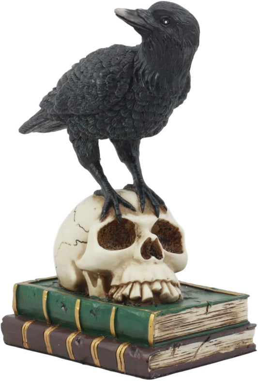 Ebros Dark Raven 7.25"Tall Raven Crow On Skull of Bibliography Figurine - Ebros Gift