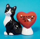 Ebros Ceramic Cat With A Red Heart Love Salt And Pepper Shakers Magnetic 3.5"H