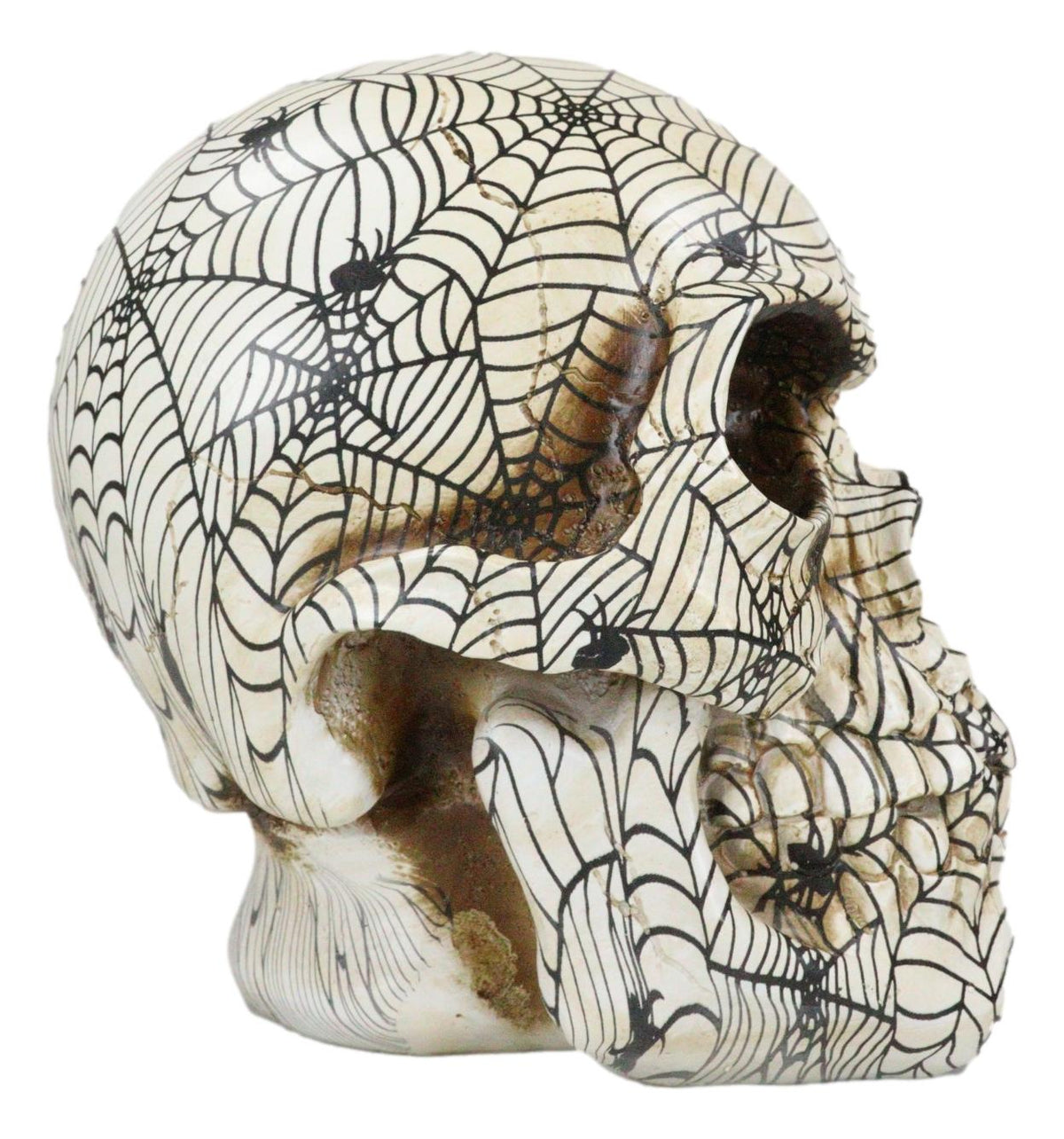 Creepy Crawler Tarantula Arachnid Spider With Cobwebs Skull Figurine Decor