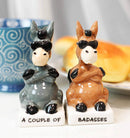 Ebros A Couple of Baddasses Donkeys Ceramic Salt and Pepper Shakers Set