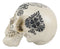 Ebros Gothic Gambling Casino Royale Poker Cards Royal Flush Skull Cranium Figurine