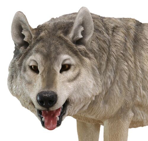 Ebros Large 4 Feet Long Wildlife Alpha Gray Wolf Statue Realistic Timber Wolf Decor