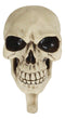 Pack Of 2 Macabre Halloween Grinning Evil Skull Head Bone Wall Coat Hook Plaque