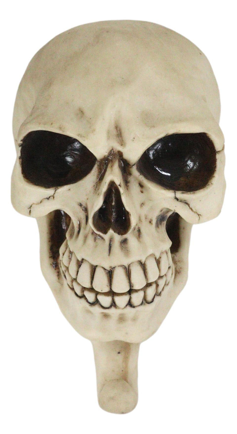 Pack Of 2 Macabre Halloween Grinning Evil Skull Head Bone Wall Coat Hook Plaque