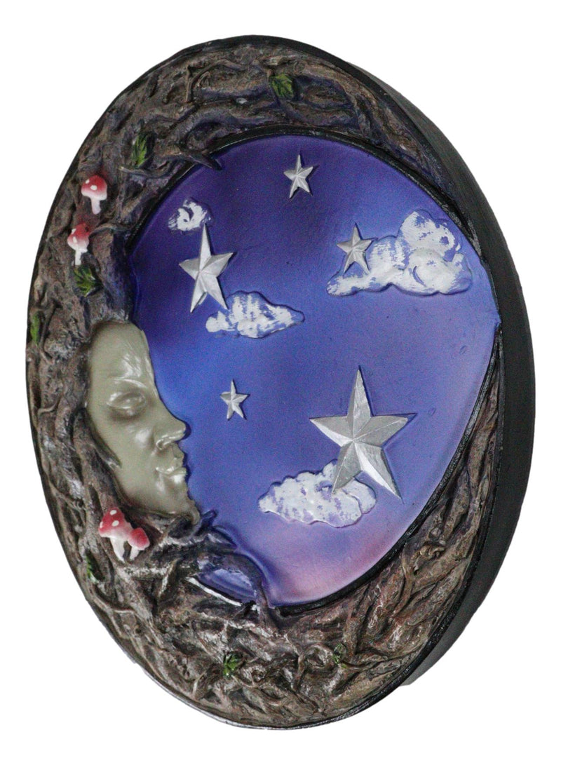 Wicca Tree Woman Greenman Ent Crescent Moon Starry Night Decorative Wall Plaque