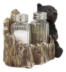 Ebros Rustic Woodland Black Bear Cub Hugging Tree Stump Figurine Display Holder With Glass Salt And Pepper Shakers Bears Home Kitchen Dining Decorative Statue 6.25" L Cabin Lodge Mountainside Decor