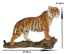 Sultan Orange Bengal Tiger On Rock Statue 7.25"Long Giant Cat Wild Animal Decor