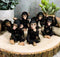 Ebros Whimsical Monkey See Monkey Do Set of 6 Chimpanzee Multi Pose Figurines