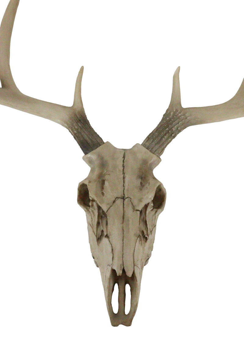 Ebros 18."L 10 Point Buck Head Wall Mount Resin Stag Deer Skull Antler Sculpture - Ebros Gift