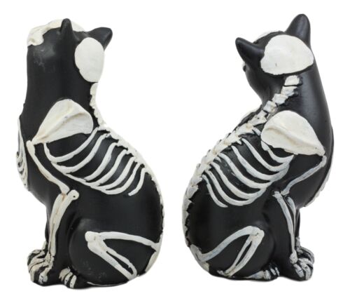 Day Of The Dead Skeleton Cat Statue Set Sugar Skull X-Ray Cats Halloween Figure