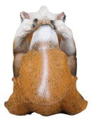Ebros Canine Pedigree Cute Beagle Hound Dog Wine Oil Bottle Holder Figurine Kitchen