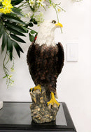Large Realistic American Bald Eagle Bird Perching On Rock Decorative Figurine