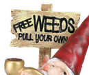Mr Gnome Grandpa Smoking Pipe By Toadstool Mushrooms And Free Weeds Sign Statue