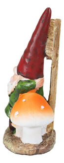 Mr Gnome Grandpa Smoking Pipe By Toadstool Mushrooms And Free Weeds Sign Statue