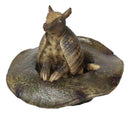 Western Rustic Texas Wild Armadillo Sitting in Cowboy Hat Decorative Figurine