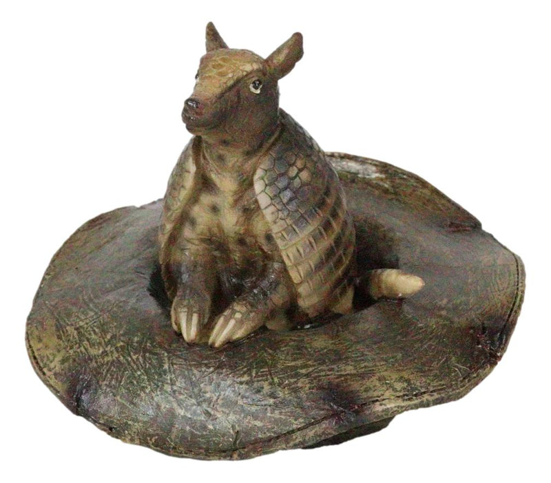 Western Rustic Texas Wild Armadillo Sitting in Cowboy Hat Decorative Figurine