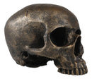 Ebros Pirate Treasure Relic Gold Rust Severed Upper Half Skull Figurine Statue