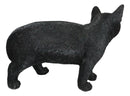 Large Lifelike Mystical Standing Black Cat Kitten Statue With Glass Eyes15"L