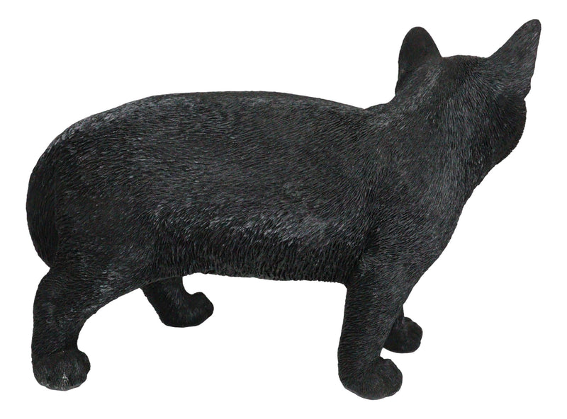 Large Lifelike Mystical Standing Black Cat Kitten Statue With Glass Eyes15"L