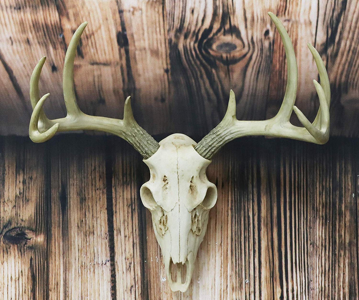 Ebros Rustic Hunter Rack Deer Skull Antler Wall Plaque Decor 10 Point Buck Figurine - Ebros Gift